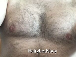 Hairybodyboy