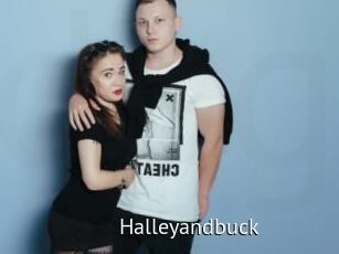 Halleyandbuck