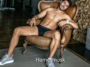 Hamermusk