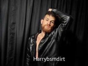 Harrybsmdirt