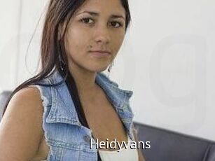 Heidyvans