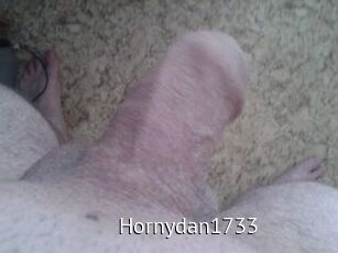 Hornydan1733