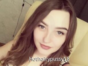 Hothairypussy18