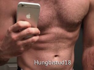 Hungbistud18