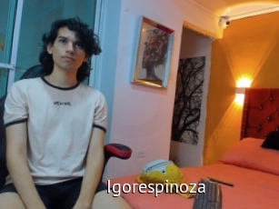 Igorespinoza