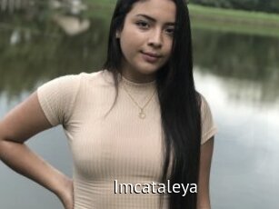 Imcataleya