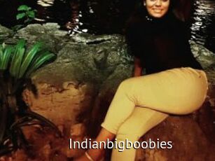 Indianbigboobies