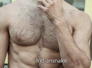 Indiansnake