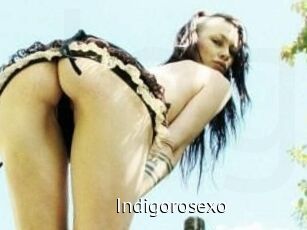 Indigorosexo