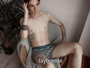 Jaybreeze