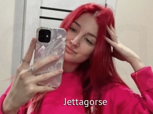 Jettagorse