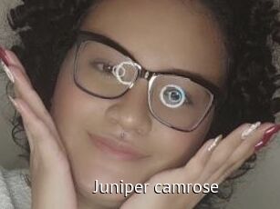 Juniper_camrose