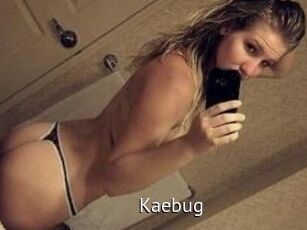 Kaebug