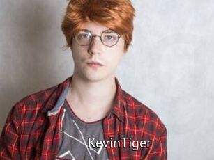 KevinTiger