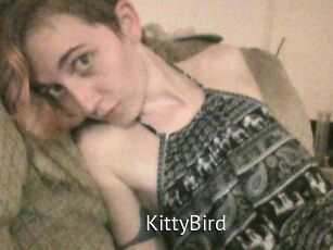 KittyBird