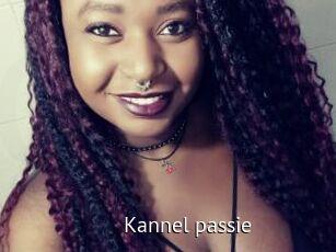 Kannel_passie