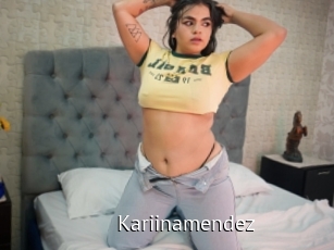 Kariinamendez