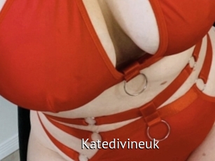 Katedivineuk