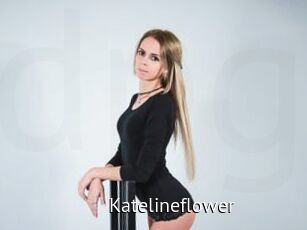 Katelineflower