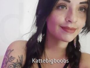 Kattebigboobs