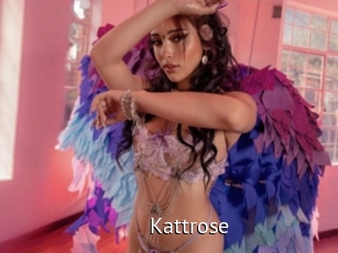 Kattrose