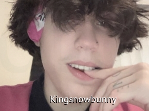 Kingsnowbunny