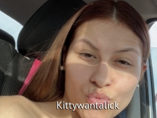 Kittywantalick