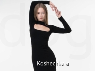 Koshechka_a