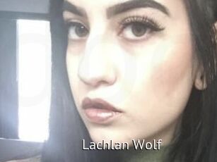 Lachlan_Wolf