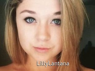 LillyLantana