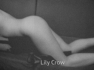 Lily_Crow