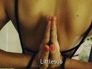 Littlesub