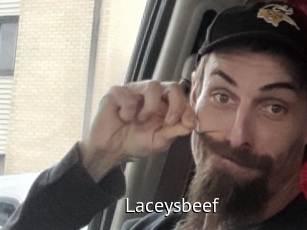 Laceysbeef