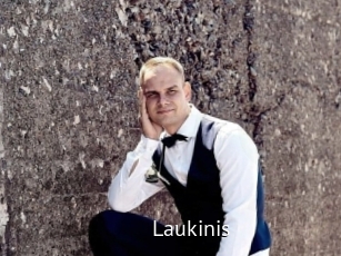 Laukinis