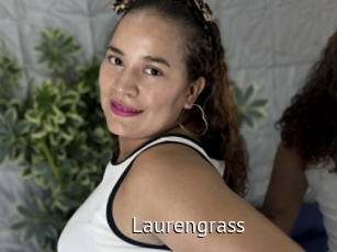 Laurengrass