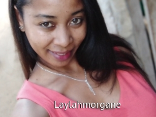 Laylahmorgane