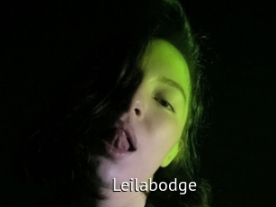 Leilabodge