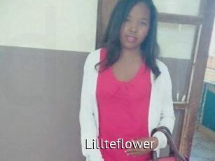 Lillteflower