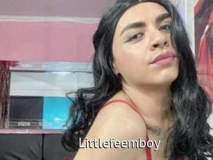 Littlefeemboy