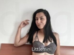 Littlemini