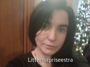 Littlesurpriseestra