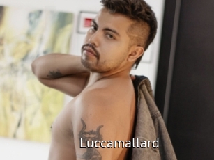 Luccamallard