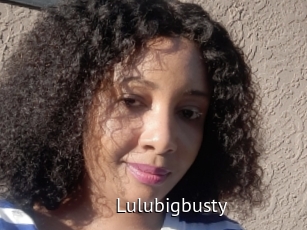 Lulubigbusty