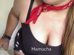 Mamucha