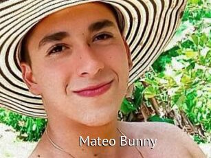 Mateo_Bunny