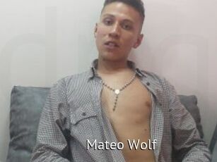 Mateo_Wolf