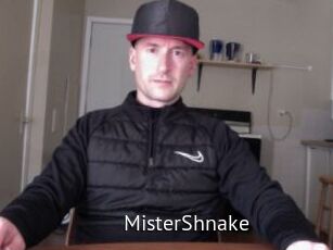 MisterShnake