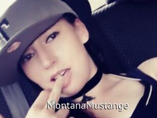 MontanaMustange