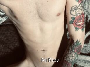 MrBleu