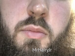 MrHairyJr